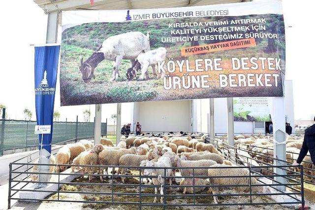 Başkan Kocaoğlu Bergama’dan Seslendi