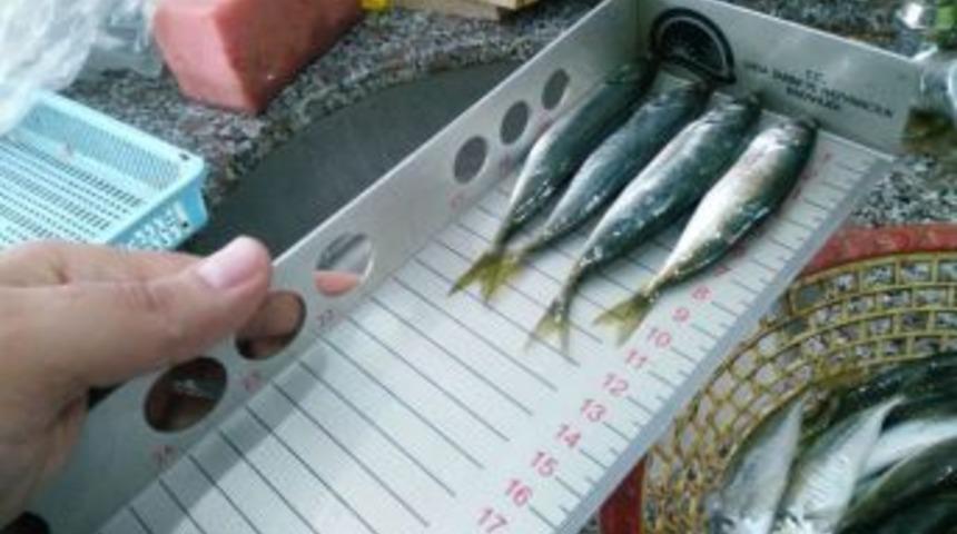 Aydın&rsquo;da 23 Gıda Firmasına 169 Bin Lira Ceza Kesildi