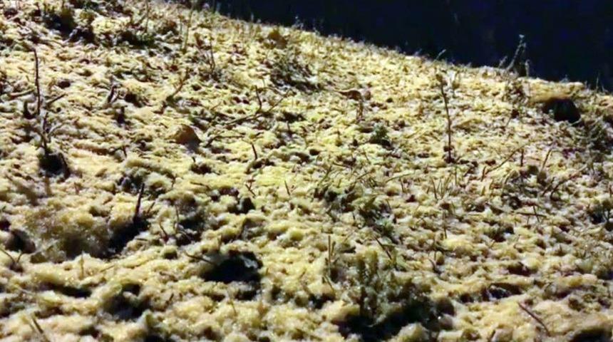 Sarıkamış&rsquo;ta Kar Yağışı