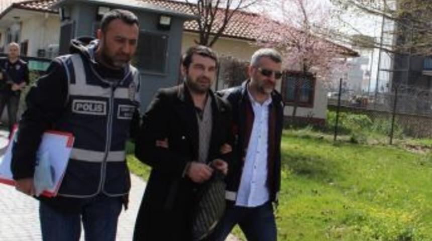 Kcoaeli&rsquo;de Petshoplardan Papağan &Ccedil;alan Hırsız Yakayı Ele Verdi