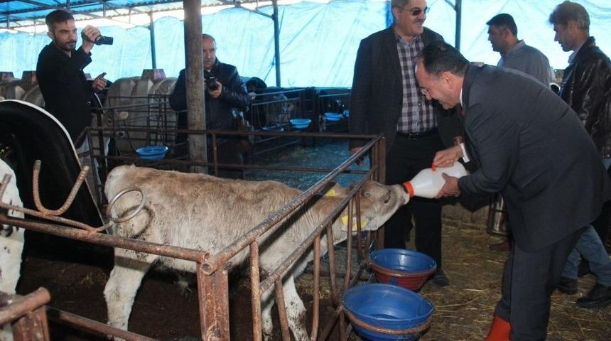 Kursiyerler Uygulamalı Eğitim Alıyor