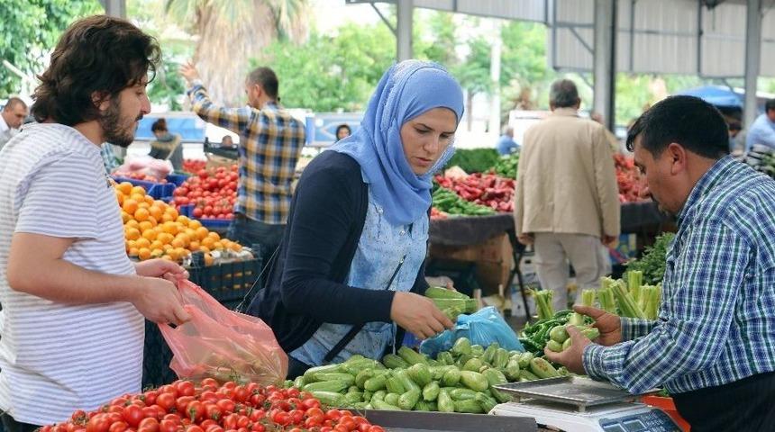 Şanlıurfa’da Yeni Mahsul Kabaklar Pazara İndi