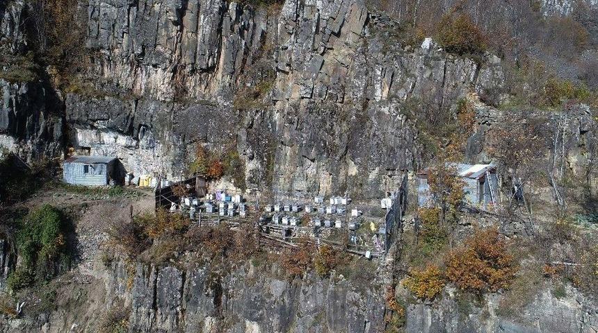 Arı Kovanlarını Ayılardan Korumak İçin Kayalıklara Taşıdı