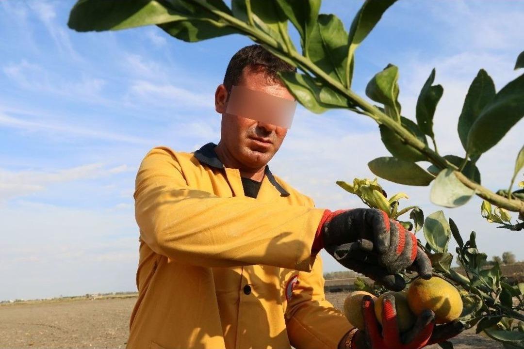 Organik Tarım Yaparak Cezalarını &Ccedil;ekiyorlar