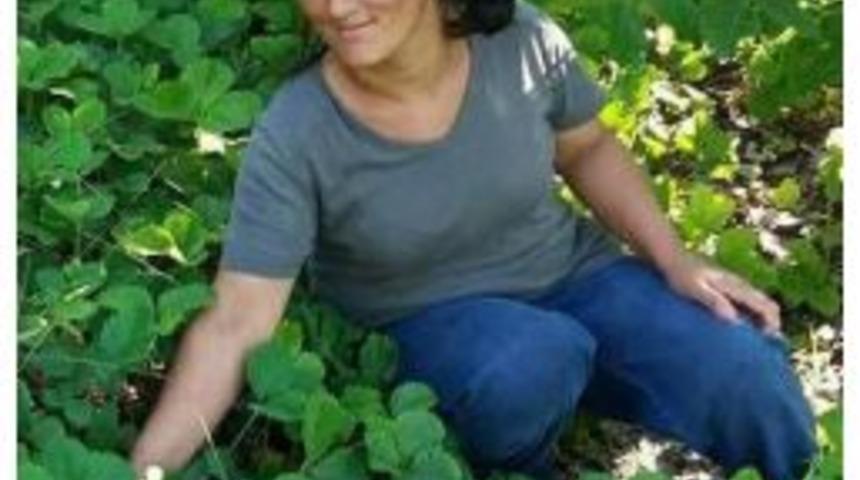 Mısır Paketleme Makinesine Kollarını Kaptıran Kadın &Ouml;ld&uuml;