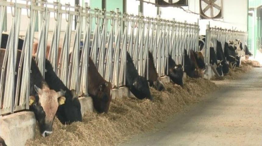 Çiftlik Bank Ceo’su Mehmet Aydın’ın 5 Yıl Sonra Şirketi Satacağını Söylediği Ortaya Çıktı