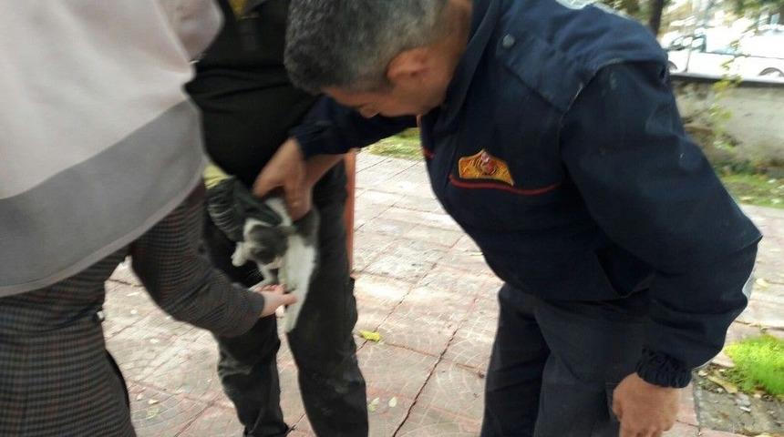 Mahsur Kalan Kedinin İmdadına İtfaiye Yetişti
