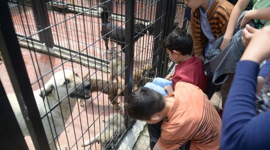 &Ouml;ğrencilerden Can Dostlarına Ziyaret