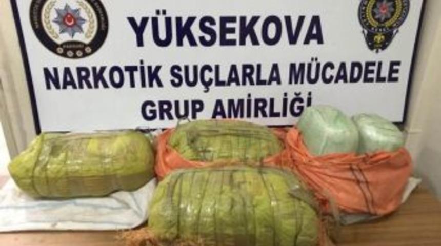 Hakkari&rsquo;de 30 Kilo Esrar Ele Ge&ccedil;irildi