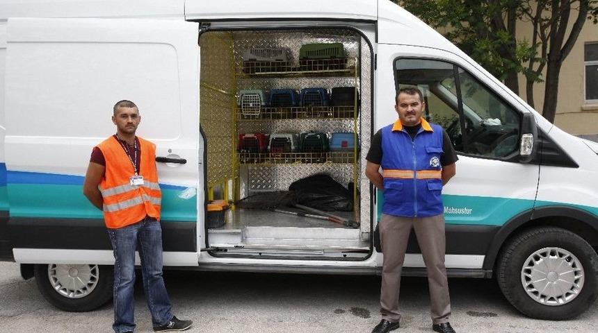 Yaralı Köpeğin Yardımına Odunpazarı Ekipleri Koştu