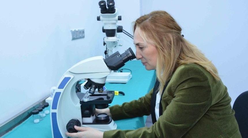 Ady&uuml; Deham Hizmet İ&ccedil;in G&uuml;n Sayıyor