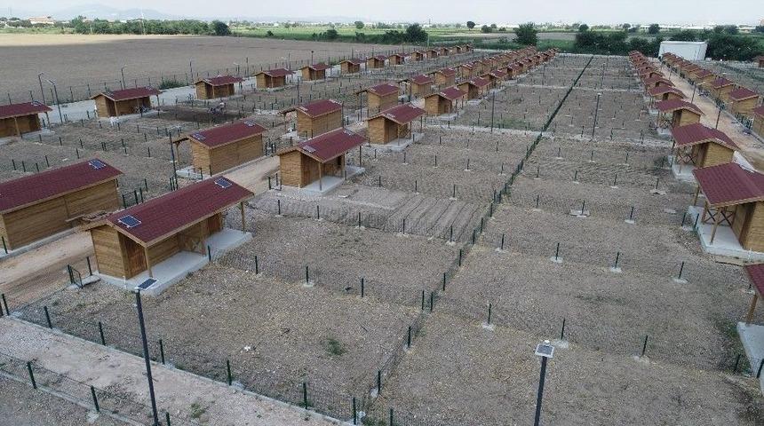 Şehzadeler’in Hobi Bahçeleri Açılıyor