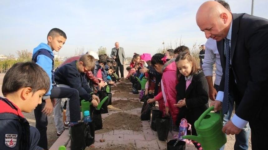 &Ccedil;olakbayrakdar, &Ouml;ğrencilerle Birlikte Palamut Tohumu Ekti