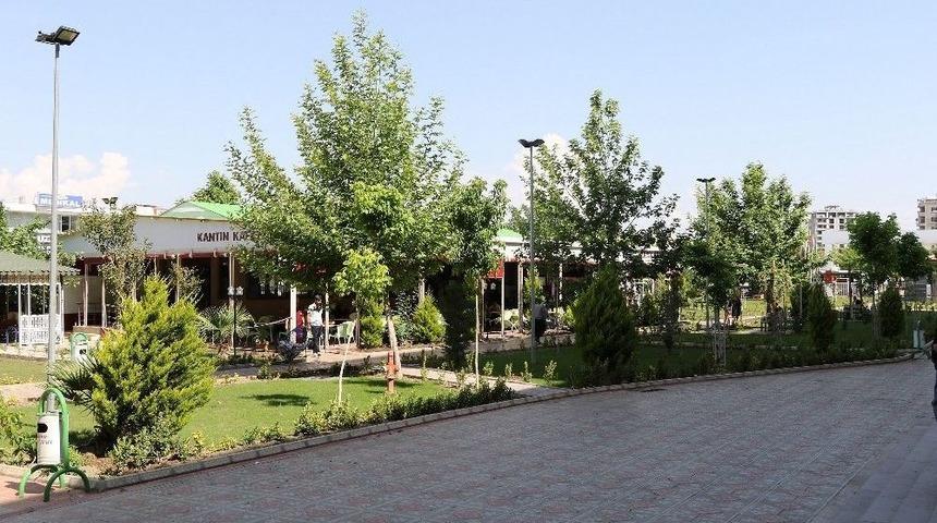 Kahta Devlet Hastanesi Bah&ccedil;esinde Peyzaj &Ccedil;alışması Yapıldı