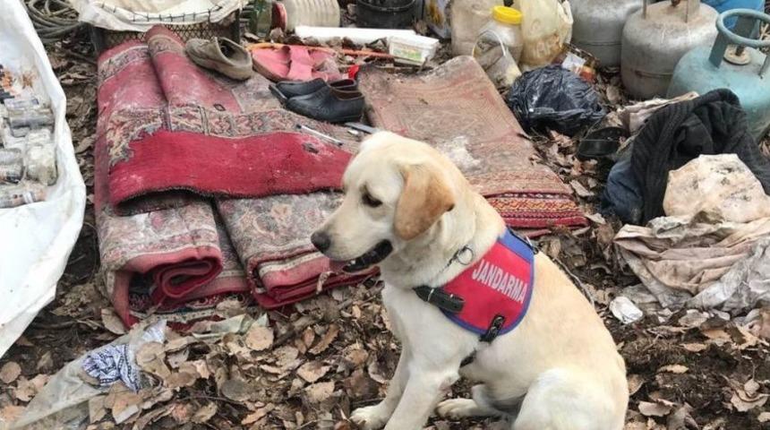 Bitlis&rsquo;te Ter&ouml;r &Ouml;rg&uuml;t&uuml;ne Ait 3 Sığınak İmha Edildi