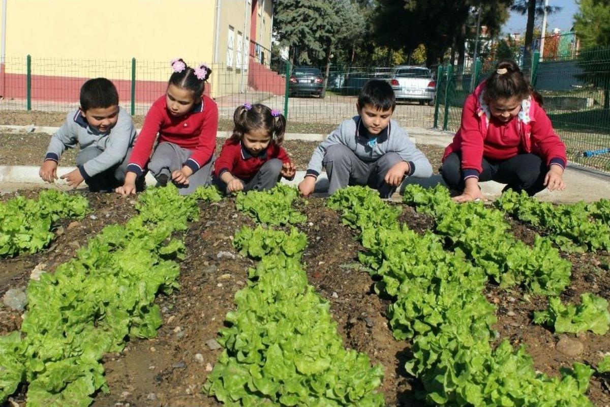 (&ouml;zel Haber) Zil &Ccedil;alınca Oyuna Değil Hobi Bah&ccedil;elerine Koşuyorlar
