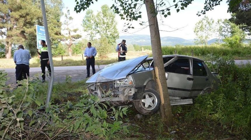 Otomobil Ağaca &Ccedil;arparak Durabildi: 1 Yaralı