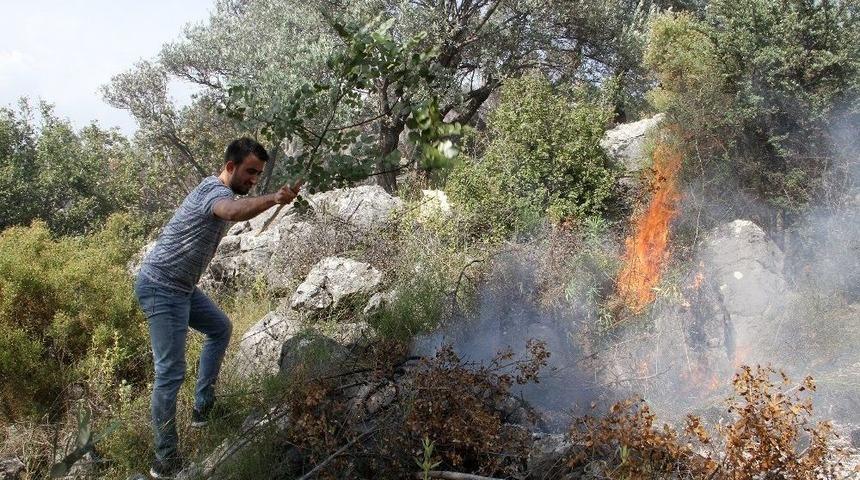 Fethiye&rsquo;de Zeytinlik Alanda Yangın