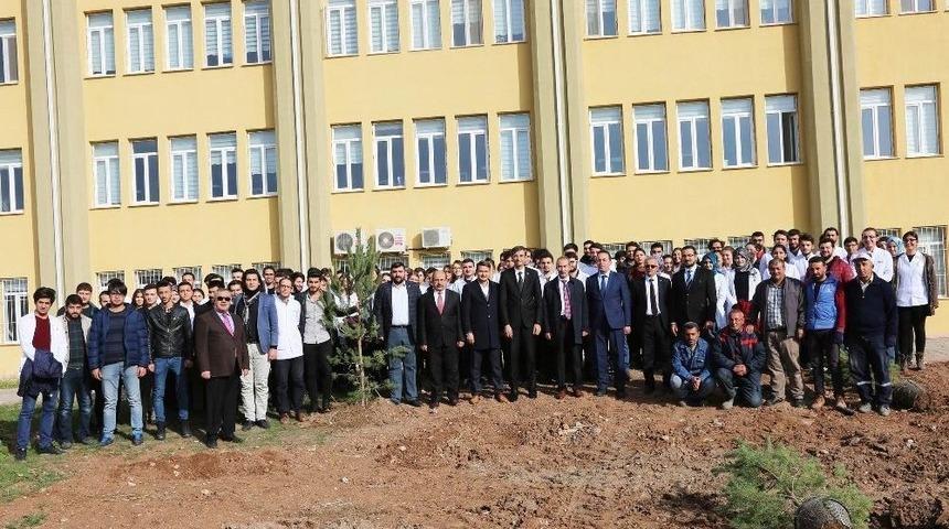 C&uuml; Diş Hekimliği Fak&uuml;ltesi Bah&ccedil;esine Fidan Dikildi
