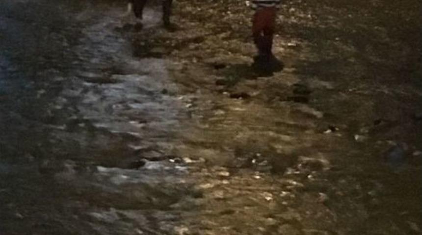 Dereden Düve Kurtarma Operasyonu