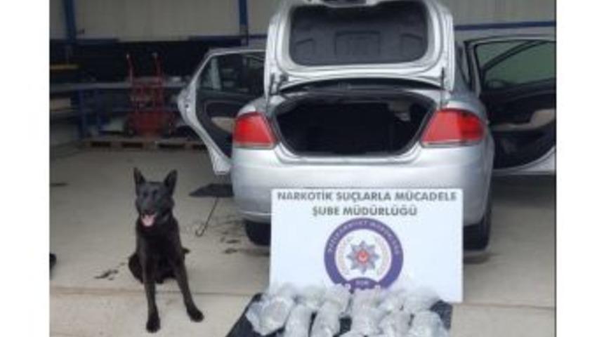 Otomobile Zulalanmış Uyuşturucuyu Narkotik Köpeği Buldu