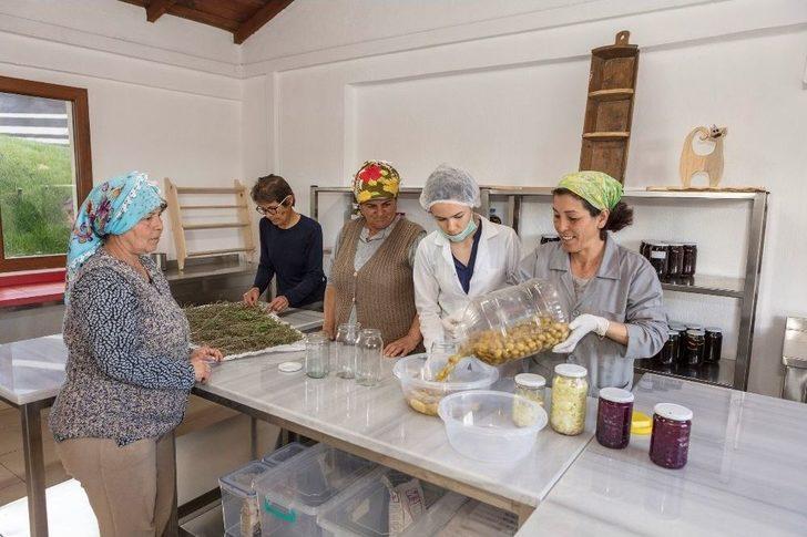 Bu Köyde "hayat" Var G2