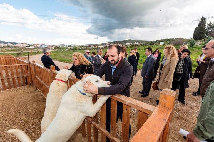 Bu Köyde "hayat" Var G3