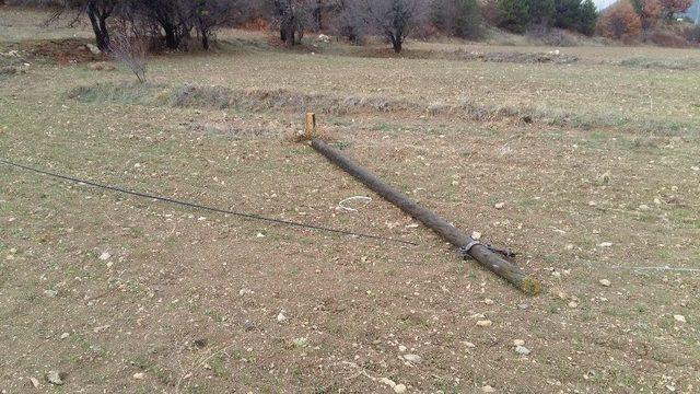 Kablo Hırsızını Jandarma Yakaladı