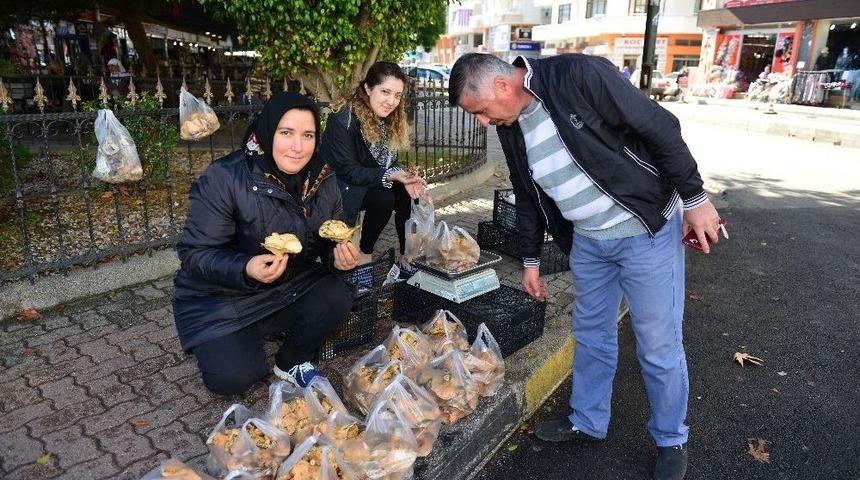 Ormanda Yetişen Mantar Ge&ccedil;im Kaynağı Oldu