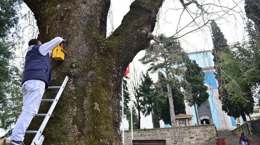 Kuş Evleri Yıldırım&rsquo;a Renk Kattı