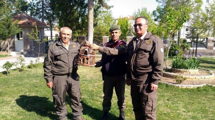 Jandarmadan Keklik Avcısına Su&ccedil;&uuml;st&uuml;