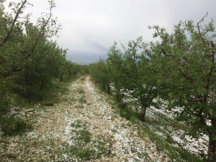 Antalya’da Meyve Üreticisini Dolu İkinci Kez Vurdu G2