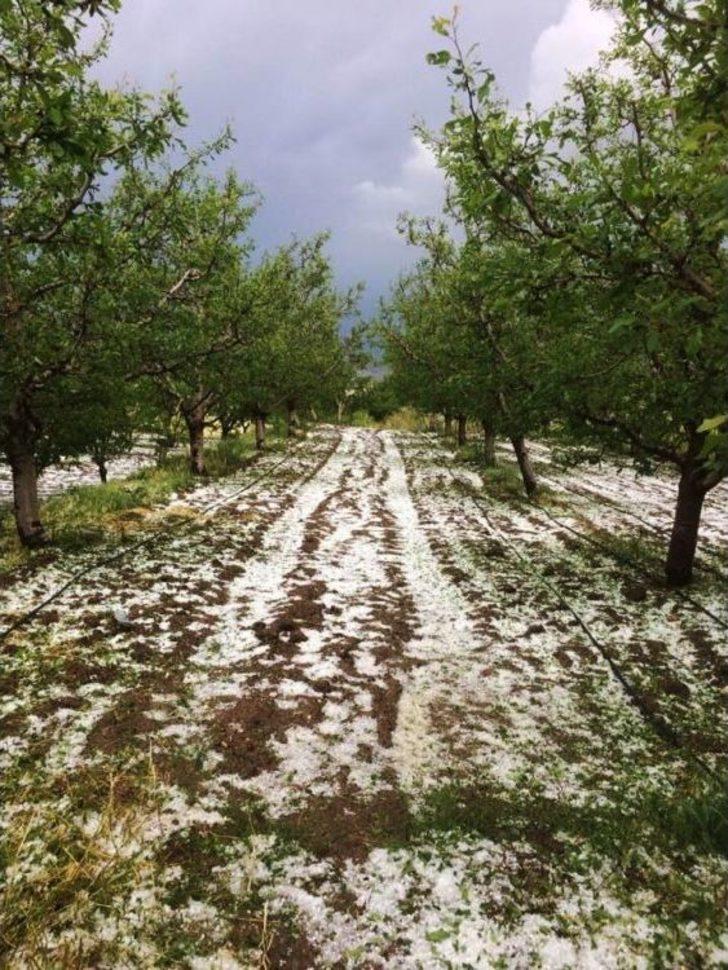 Antalya’da Meyve Üreticisini Dolu İkinci Kez Vurdu G3