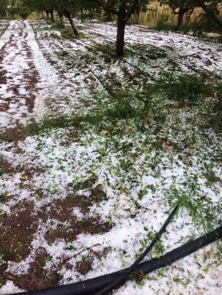 Antalya’da Meyve Üreticisini Dolu İkinci Kez Vurdu G4