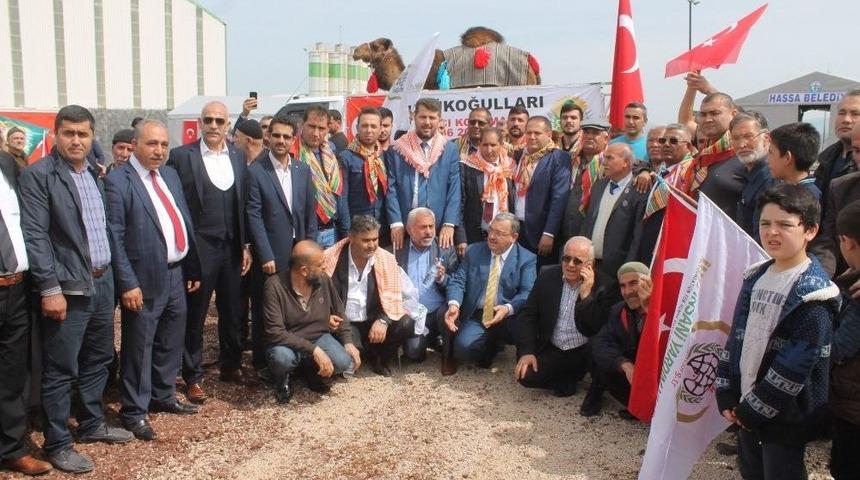 Afrin D&uuml;şt&uuml;, Y&ouml;r&uuml;kler Deve Kurban Etti