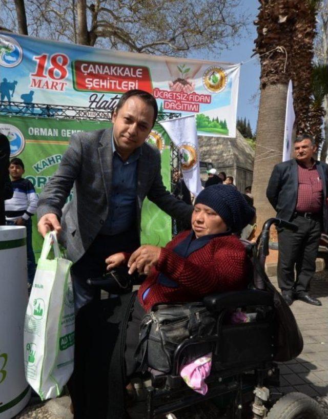 Kahramanmaraş’ta Şehitler Anısına Fidan Dağıtıldı