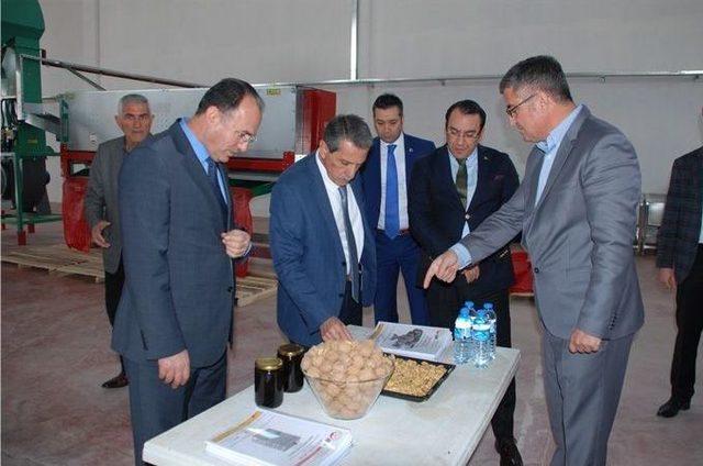 Vali Kalkancı Tarımsal Alandaki Ekonomik Yatırımları İnceledi 1