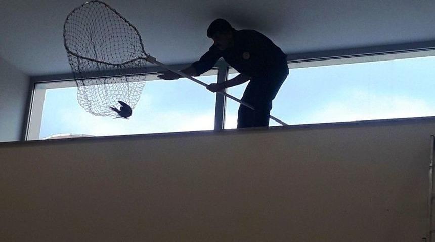 Bankada Kuş Alarmı