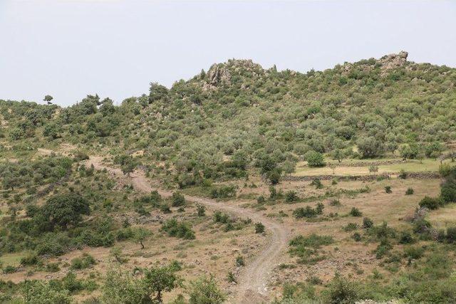 Yunusemre’den Karakılınçlı’da Yol Çalışması