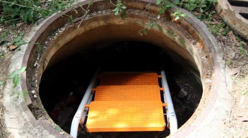 Antalya’da Hastanede Kedi Kurtarma Seferberliği