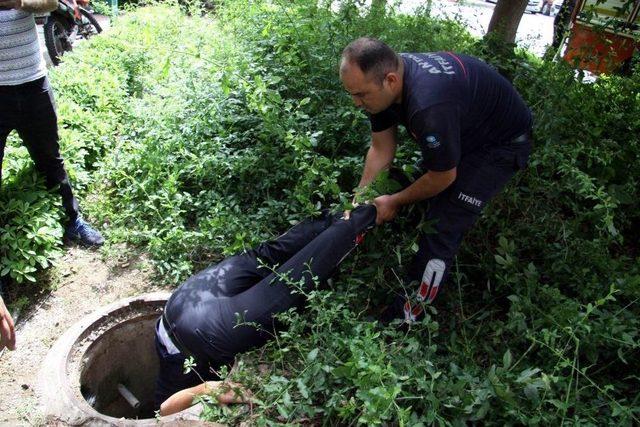 Antalya’da Hastanede Kedi Kurtarma Seferberliği