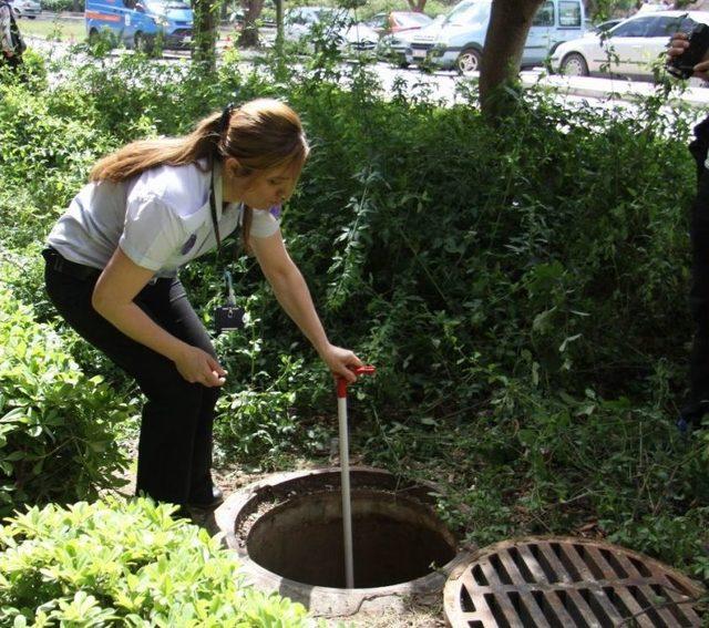 Antalya’da Hastanede Kedi Kurtarma Seferberliği