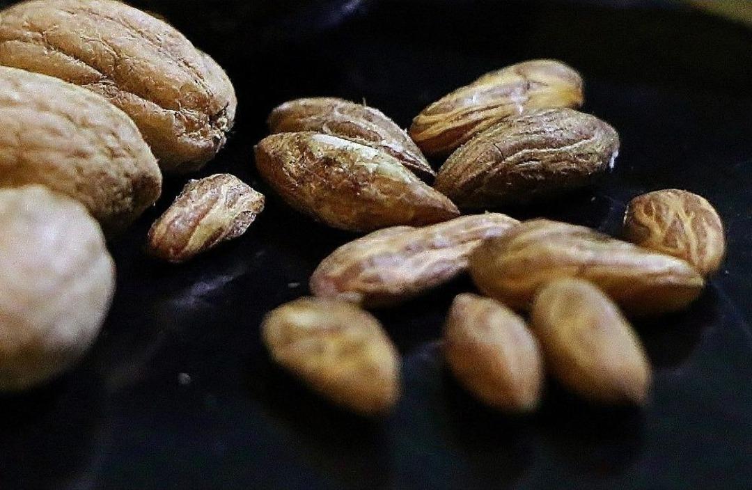 Zeytin Ağacının Her G&uuml;n Bir Sırrı &Ccedil;&ouml;z&uuml;l&uuml;yor