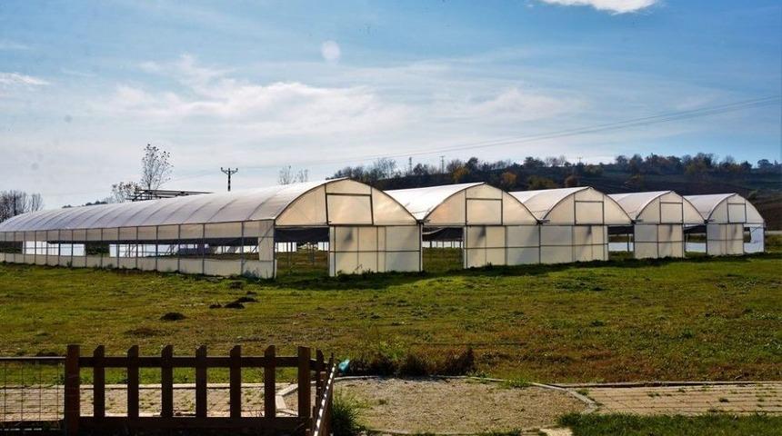 S&uuml;leymanpaşa Belediyesi Kendi &Ccedil;i&ccedil;eğini &Uuml;retecek