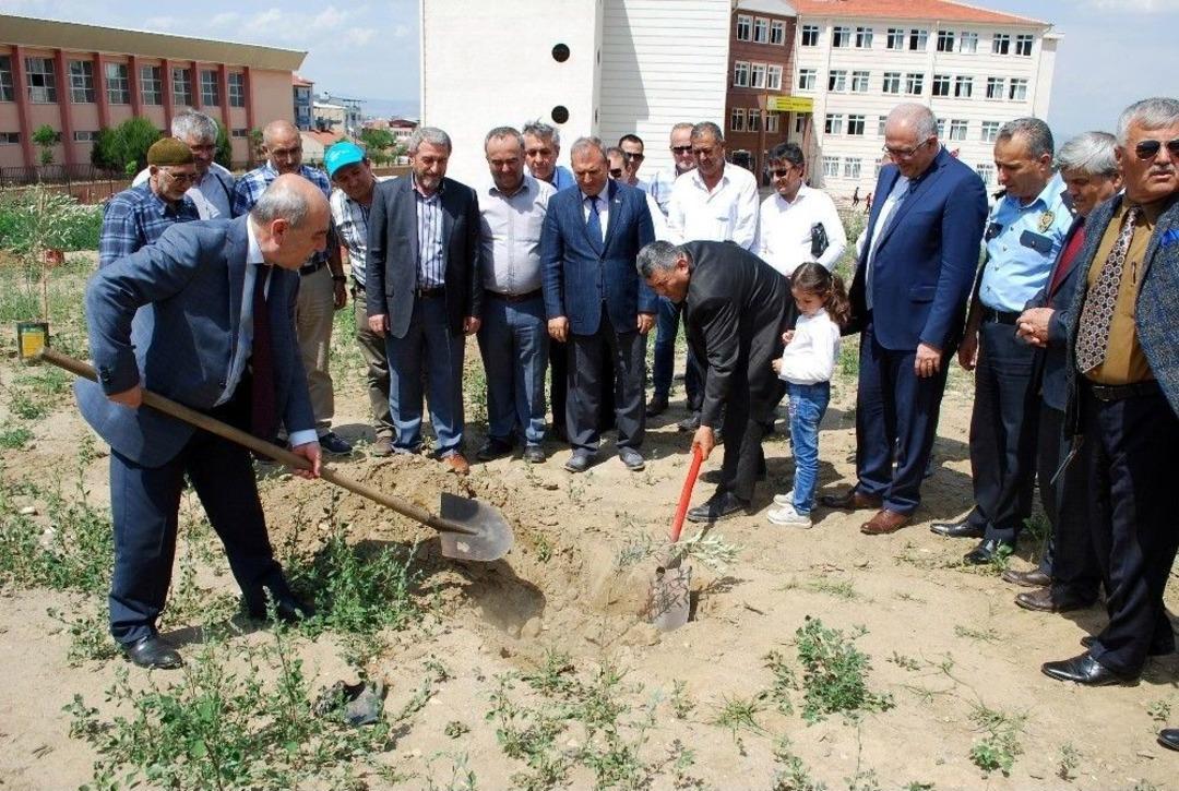 Afrin Şehitleri Anısına Zeytin Fidanı Dikildi