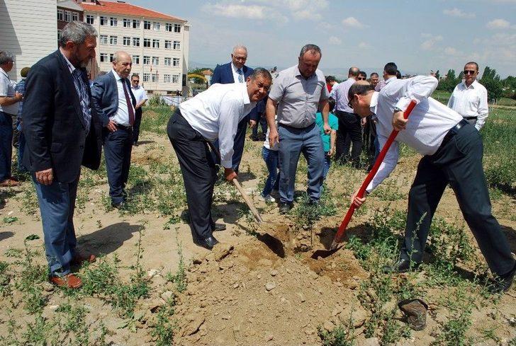 Afrin Şehitleri Anısına Zeytin Fidanı Dikildi G3