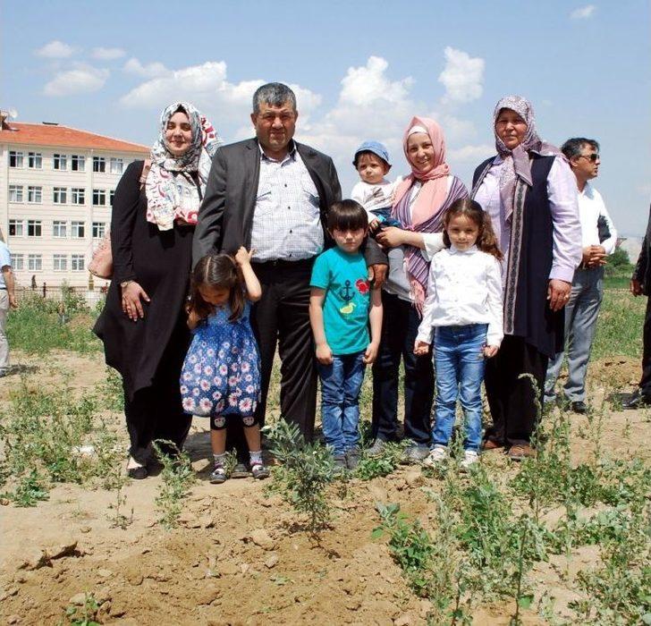 Afrin Şehitleri Anısına Zeytin Fidanı Dikildi G4
