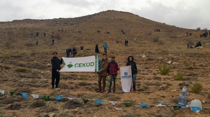 Sivas&rsquo;ta &rsquo;bir Fidan Bin Hayat&rsquo; Kampanyası