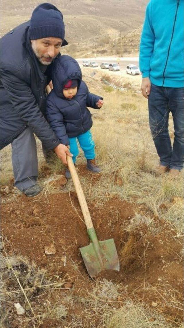 Sivas’ta ’bir Fidan Bin Hayat’ Kampanyası