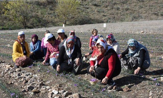 Abc Deterjan’dan Sosyal Sorumluluk Kampanyası: ’abc İle Yerli Yerinde’